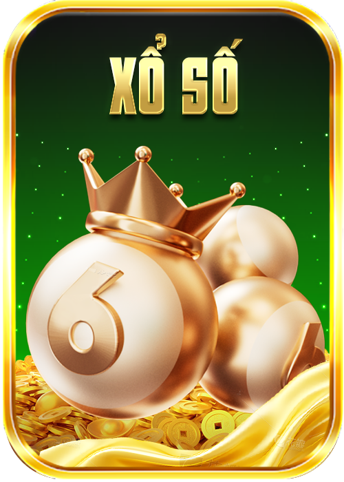 79KING-baner-nho-5